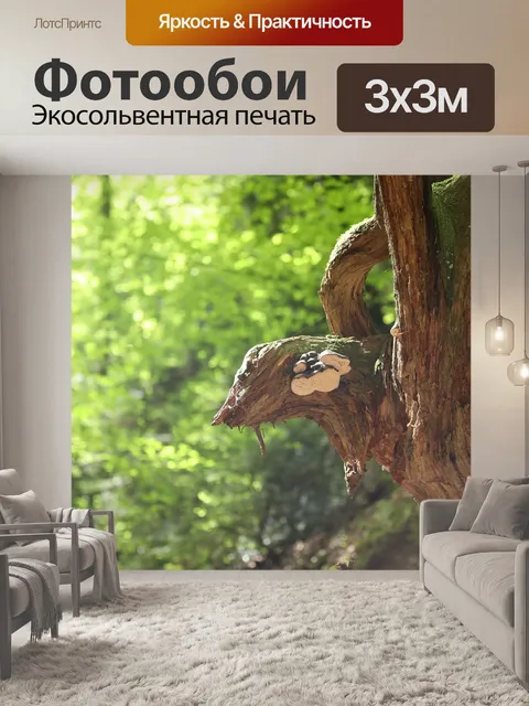 Фотообои Природа