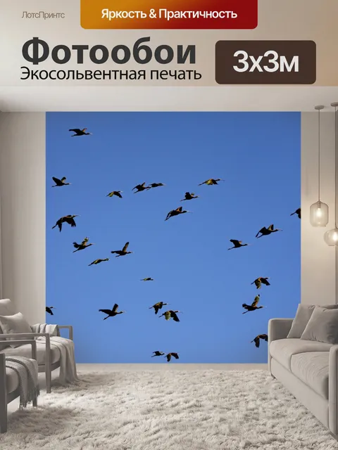 Фотообои Ибис птицы