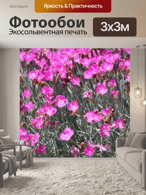 Фотообои Пурпурный