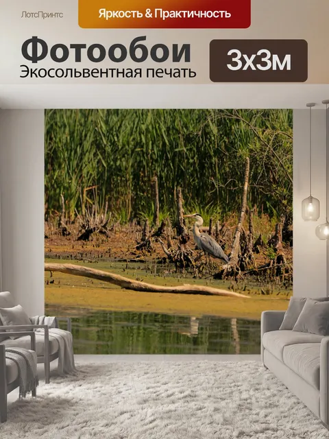 Фотообои Цапля