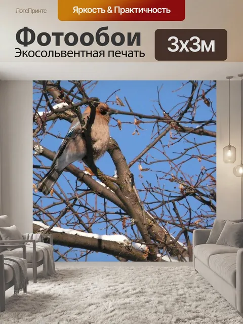 Фотообои Природа