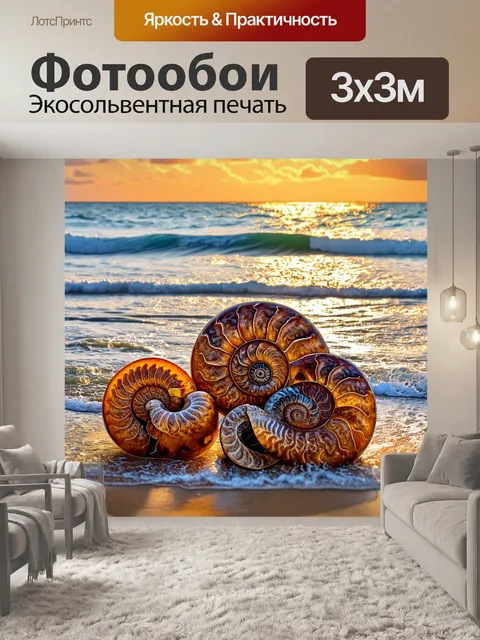 Фотообои окаменелые аммониты, находящиеся на берегу, раскрывая массу красивых паттернов и цветов, с морскими брызгами…