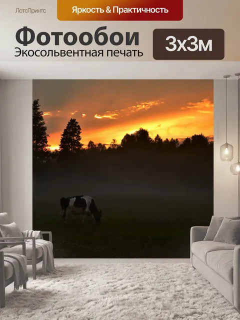 Фотообои Закат