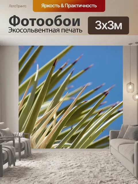 Фотообои Агава
