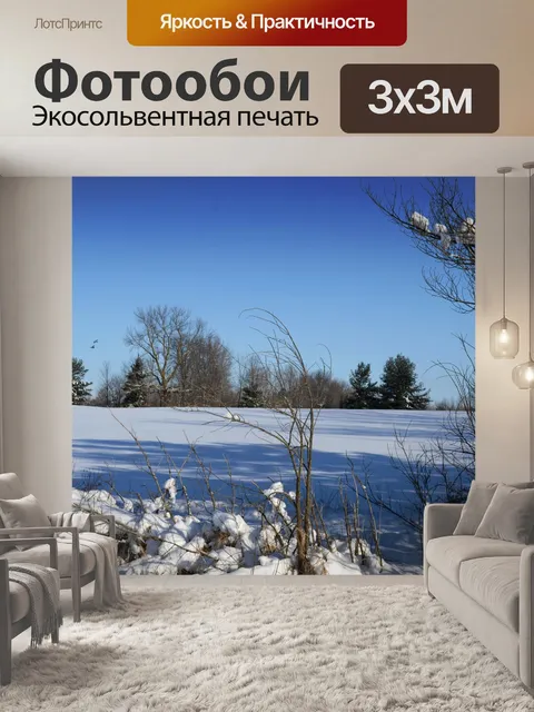 Фотообои Зимнее поле