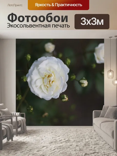 Фотообои Розы
