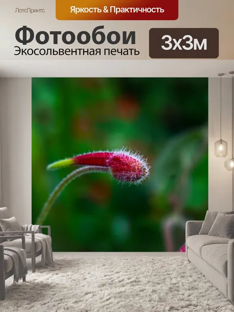 Фотообои Дикий цветок