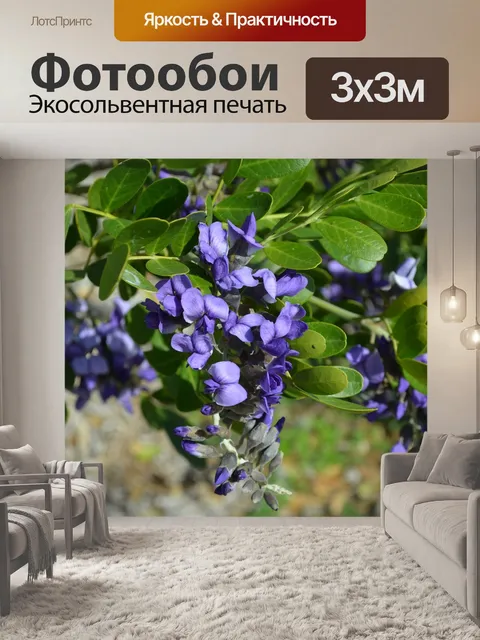 Фотообои Цветок