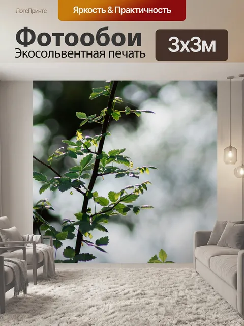 Фотообои Листья