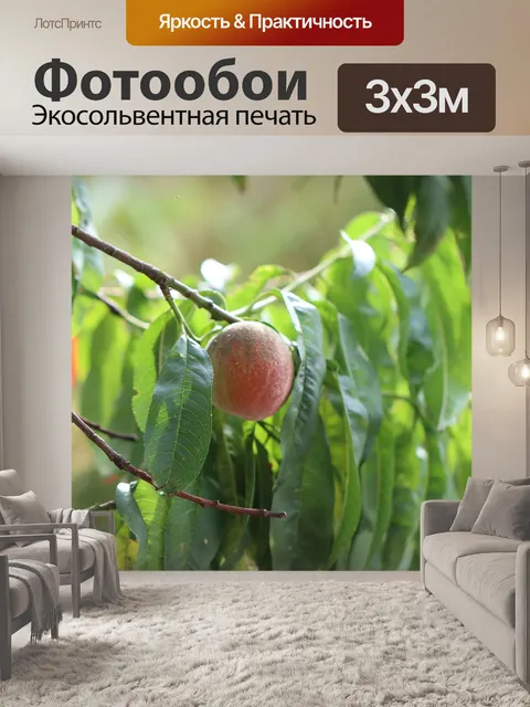 Фотообои Рыболовства