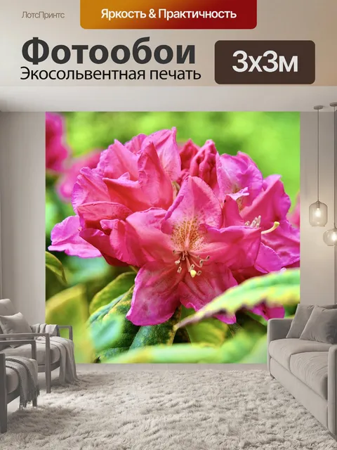 Фотообои Розовый