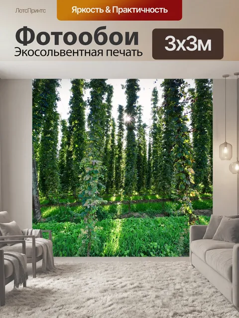 Фотообои Прыгать