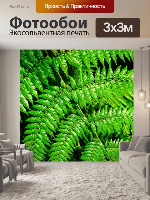 Фотообои Фон из листьев папоротника