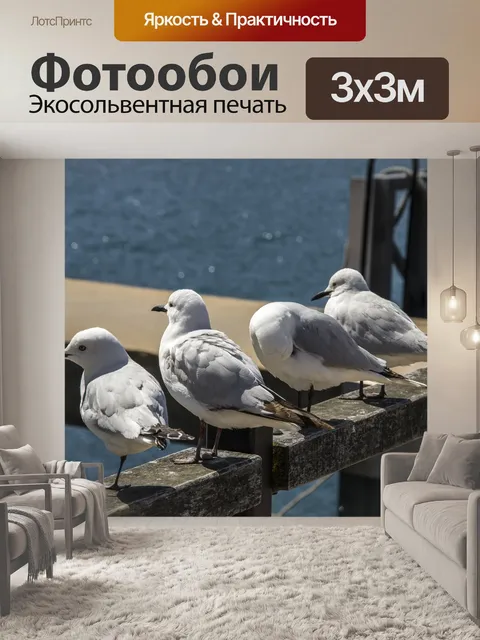 Фотообои Птицы