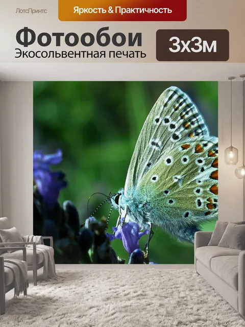 Фотообои Бабочка
