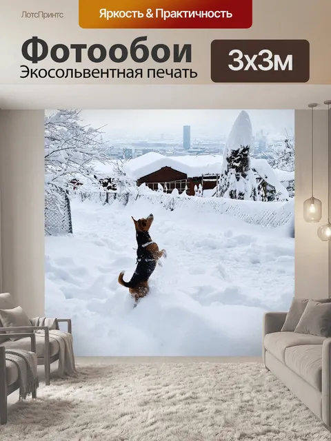 Фотообои Собака