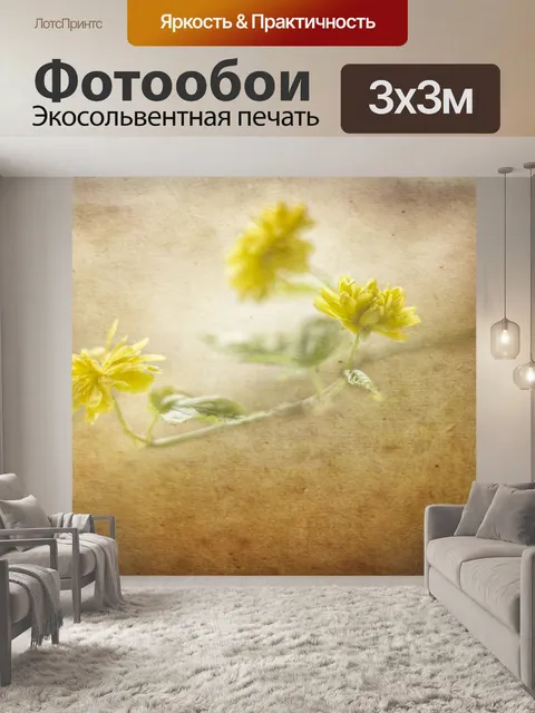 Фотообои Графика