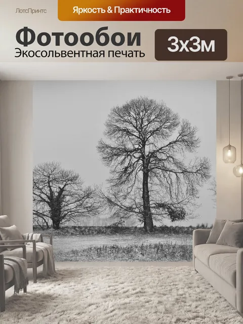 Фотообои Деревья