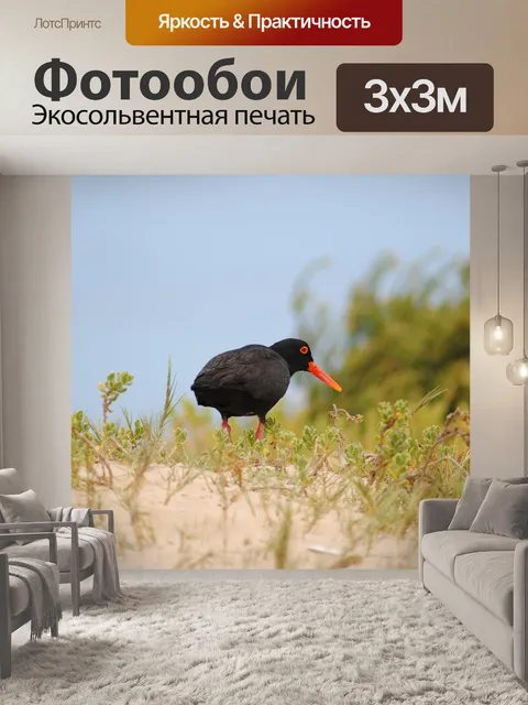 Фотообои Птица