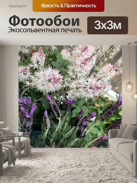 Фотообои Лаванда