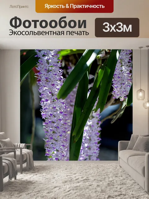 Фотообои Орхидеи