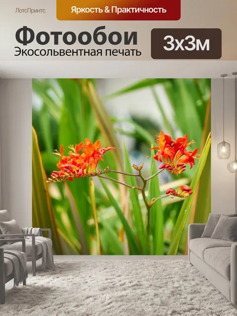 Фотообои Красные цветы