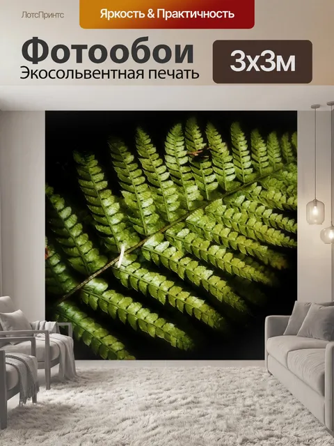 Фотообои Папоротник
