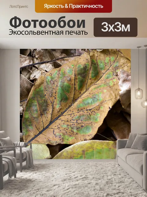 Фотообои Листья