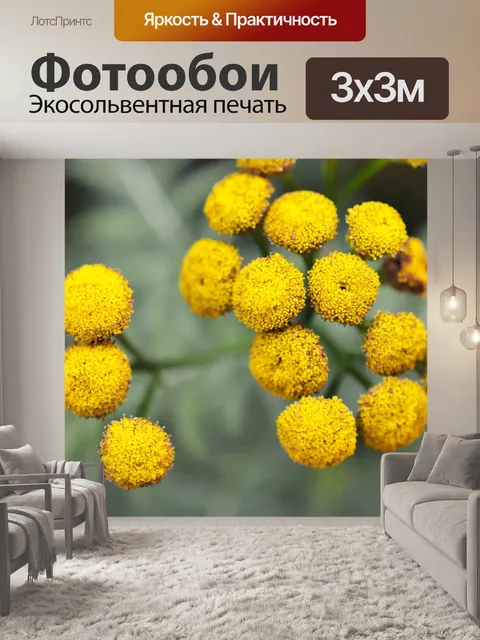 Фотообои Цветок