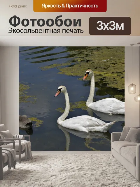 Фотообои Лебеди