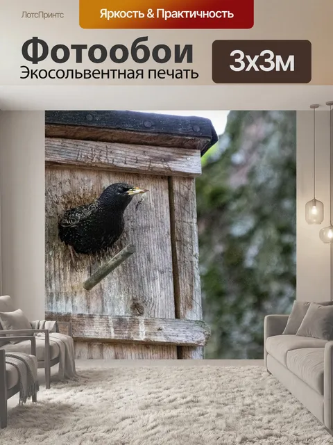 Фотообои Животные