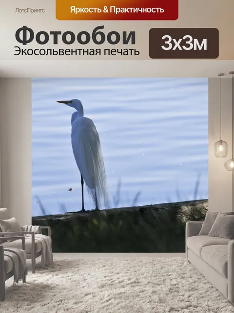 Фотообои Большая белая цапля на берегу озера