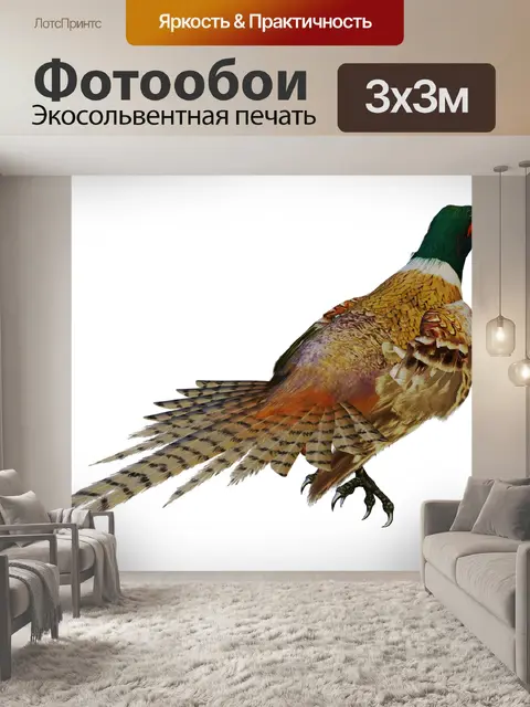 Фотообои Птица игра птица
