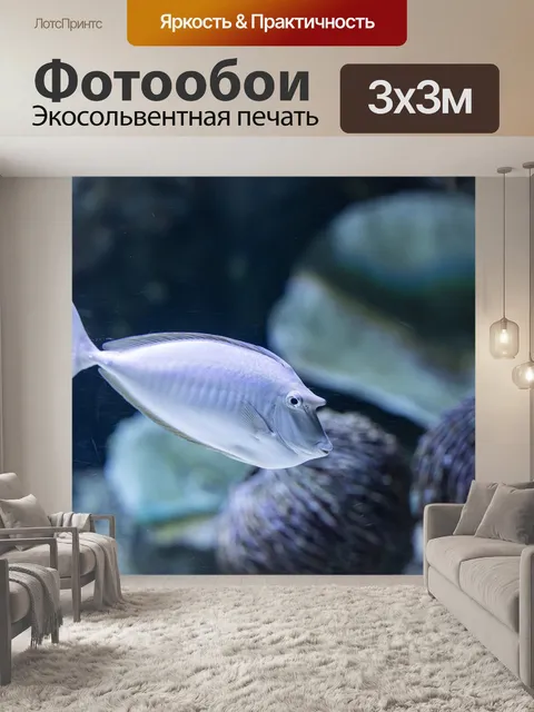 Фотообои Рыба