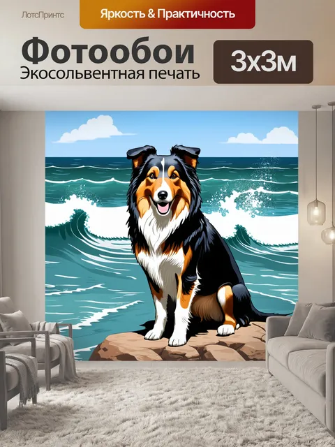 Фотообои колли, сидящая на скале у моря, с волнами, разбивающимися о берег