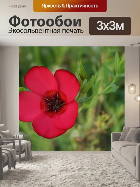 Фотообои Цветы