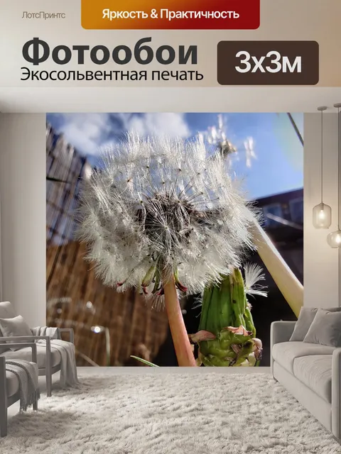 Фотообои Одуванчик