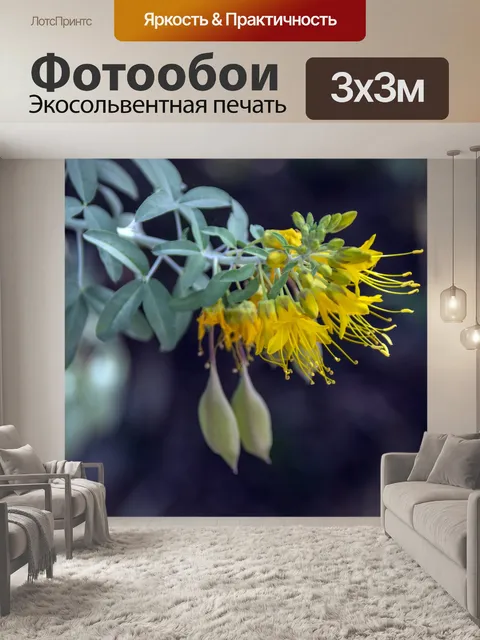 Фотообои Нежные желтые цветы