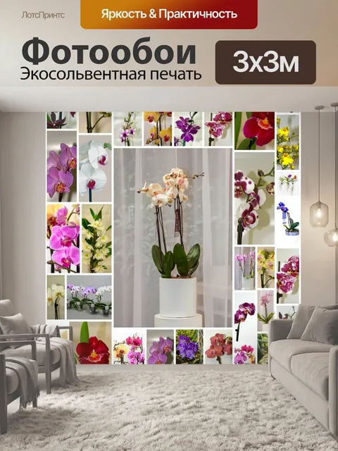 Фотообои Орхидеи разнообразие
