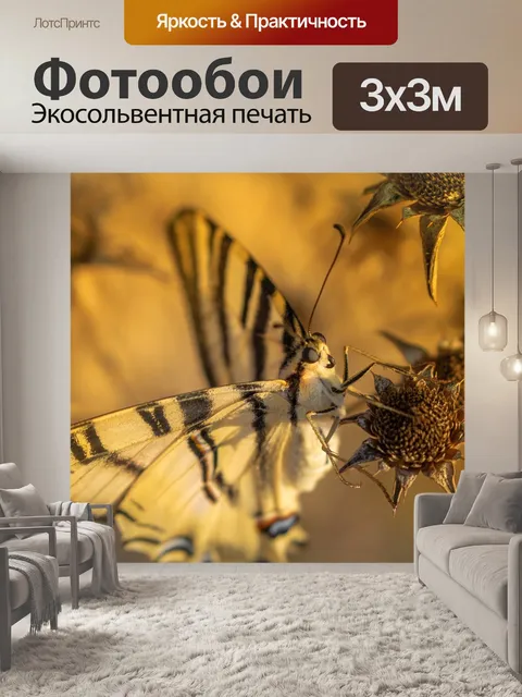 Фотообои Бабочка