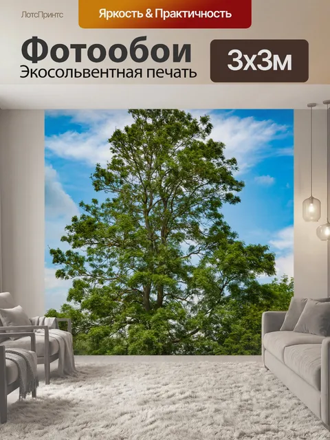 Фотообои Только дерево