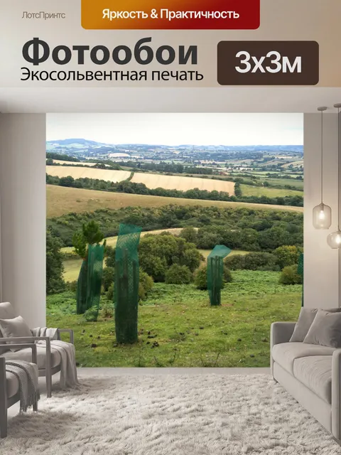 Фотообои Новые деревья