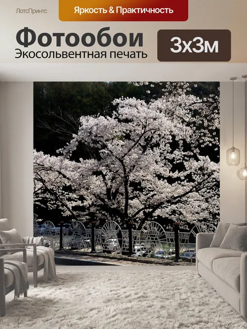 Фотообои Цветение вишни