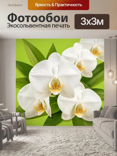 Фотообои Белые орхидеи на зеленом фоне