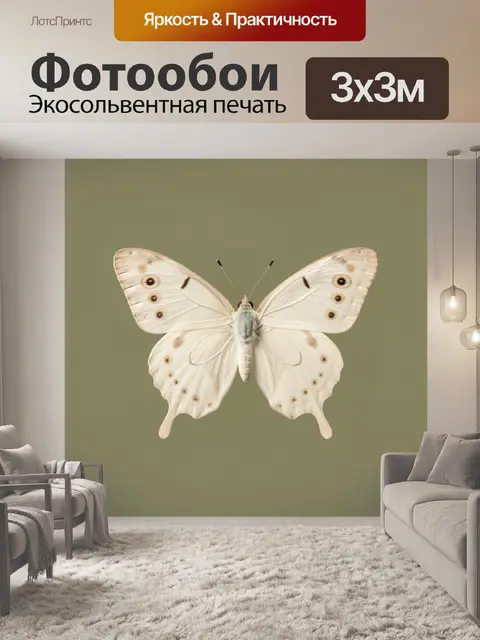 Фотообои Белая бабочка на оливковом фоне