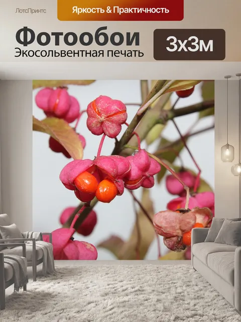 Фотообои Осень