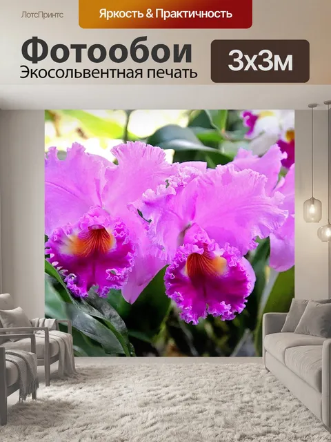 Фотообои Орхидея