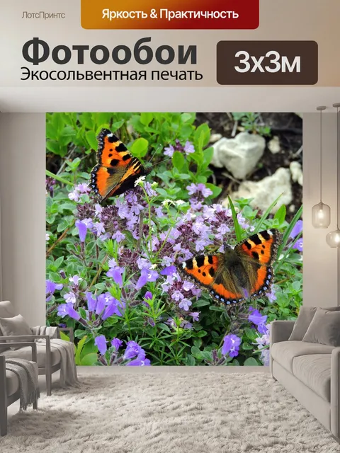 Фотообои Бабочка