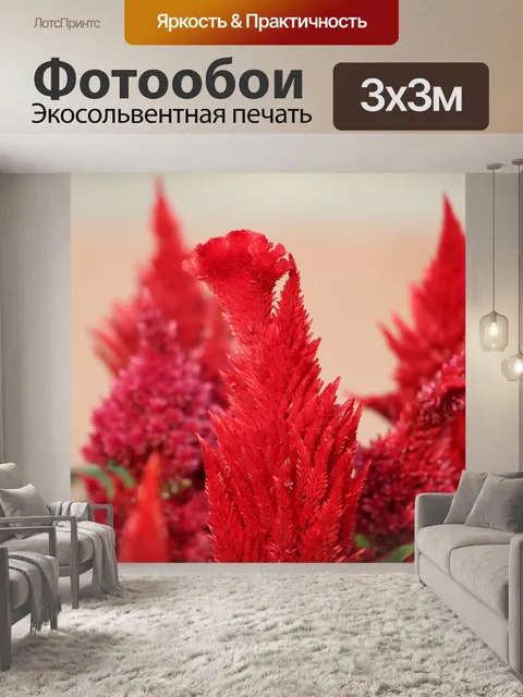 Фотообои Цветы