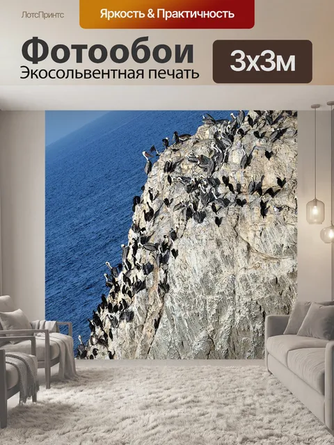 Фотообои Птица Рок